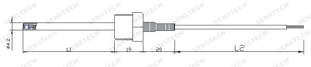 2-Wire PT100 Rtd Sensor Temperature Probe 1/2"NPT 20mm 30mm