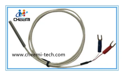 Sonda de temperatura Rtd PT20 atornillable con cable de conexión de 2 hilos